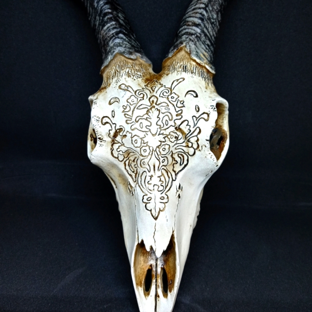 Skull